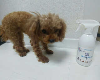 MijeongKim님이 올린 리뷰 사진 3