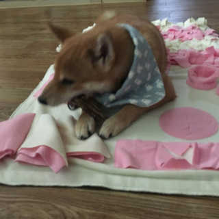 yul님이 올린 리뷰 사진 1