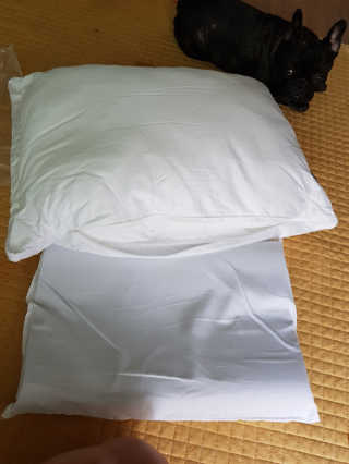 탱크돌콩님이 올린 리뷰 사진 3