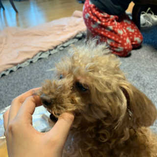 현님님이 올린 리뷰 사진 1