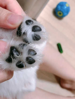 뿌쏘님이 올린 리뷰 사진 2
