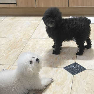 럭해님이 올린 리뷰 사진 3