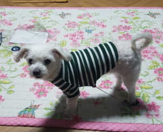 김주은님이 올린 리뷰 사진 2
