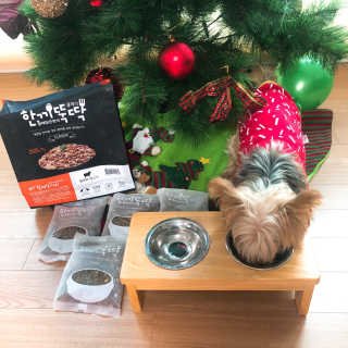 [펫토리아] 맛도 영양도 BEST 한끼뚝딱 강아지 사료 — 5점을 준 리뷰어가 2018년 12월 올린 사용 사진