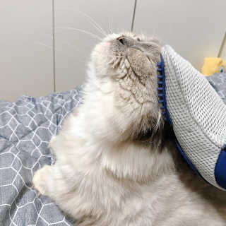 공실이님이 올린 리뷰 사진 2