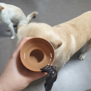 리아님이 올린 리뷰 사진 2