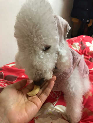 박상희님이 올린 리뷰 사진 2