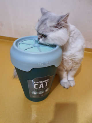 o7902o님이 올린 리뷰 사진 3