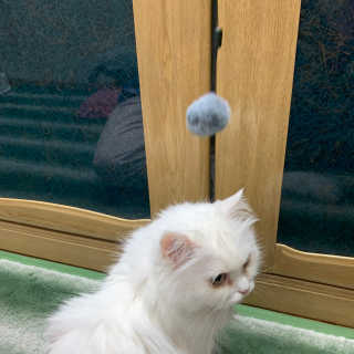 miyoooo님이 올린 리뷰 사진 4