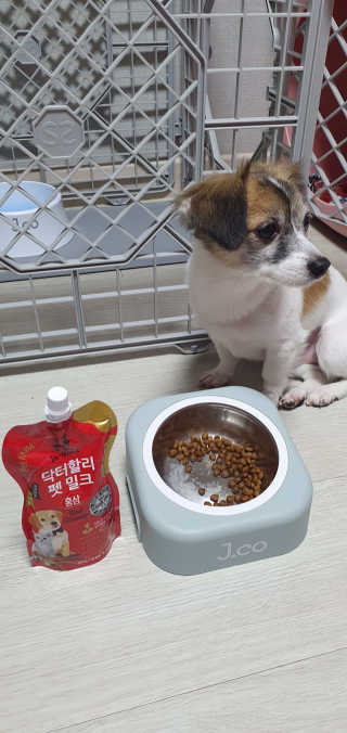 닥터할리펫밀크 8종 — 5점을 준 리뷰어가 2020년 3월 올린 사용 사진