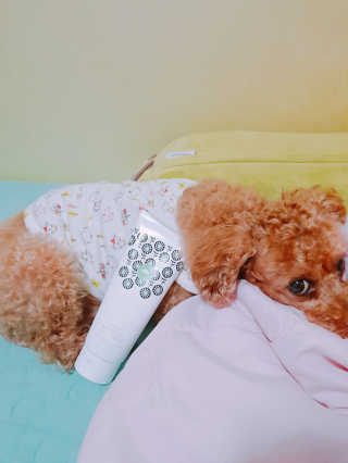이예림님이 올린 리뷰 사진 3