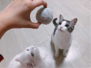 조호이님이 올린 리뷰 사진 1