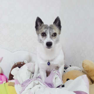 은해짱님이 올린 리뷰 사진 4
