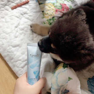 송정아님이 올린 리뷰 사진 2