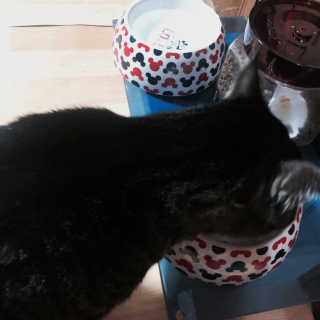 김지선님이 올린 리뷰 사진 3