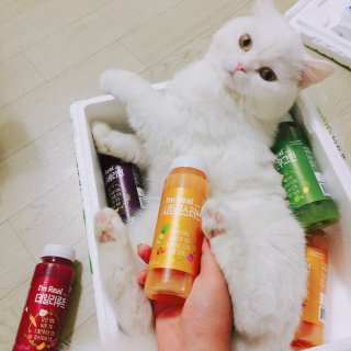 찌몽님이 올린 리뷰 사진 1