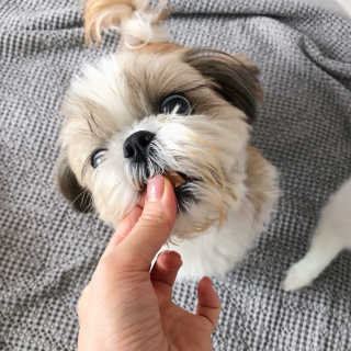 jenny님이 올린 리뷰 사진 2