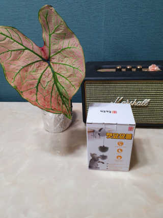 릴리님이 올린 리뷰 사진 1