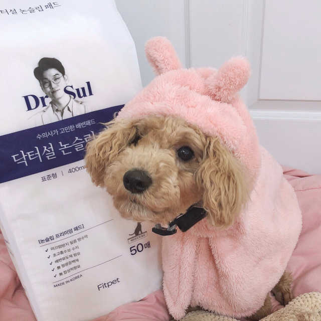 닥터설 논슬립 패드 리뷰 사진