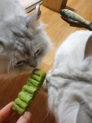 바다의해님이 올린 리뷰 사진 4