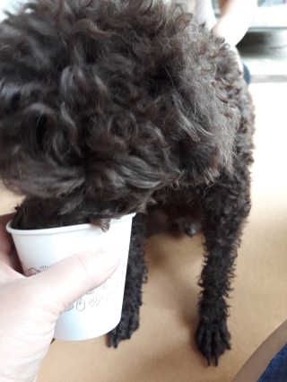 lys님이 올린 리뷰 사진 3