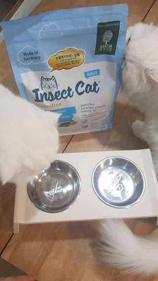 그린펫푸드 인섹트캣 글루텐프리（1.2KG） — 5점을 준 리뷰어가 2019년 7월 올린 사용 사진