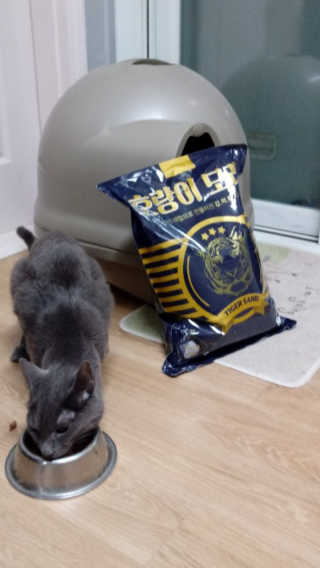 또이따인님이 올린 리뷰 사진 1