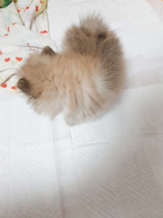 할로님이 올린 리뷰 사진 2