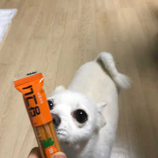 이시은님이 올린 리뷰 사진 2