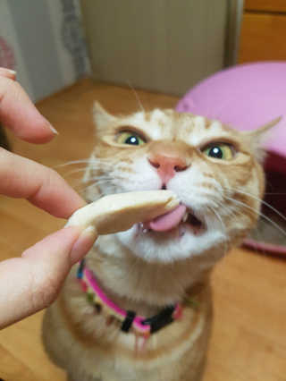 노랑콩님이 올린 리뷰 사진 1