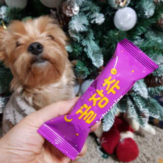 롤리팝님이 올린 리뷰 사진 2