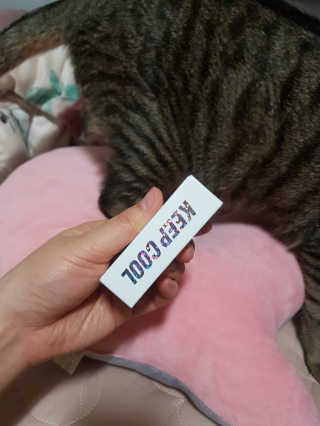 헐크갱크🌱님이 올린 리뷰 사진 4