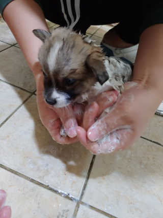 차차롭다님이 올린 리뷰 사진 3