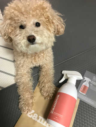 모모맘님이 올린 리뷰 사진 2