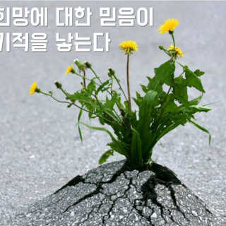 믿음이님이 올린 리뷰 사진 4