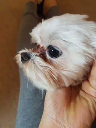 yoggoringring님이 올린 리뷰 사진 1