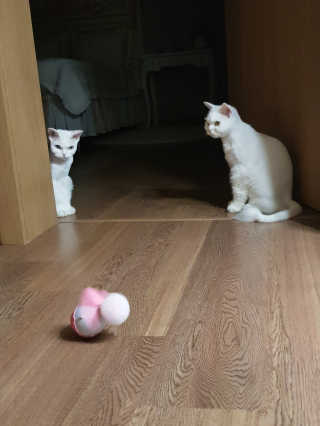 딸기조아님이 올린 리뷰 사진 3