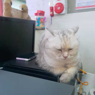 백조님이 올린 리뷰 사진 2