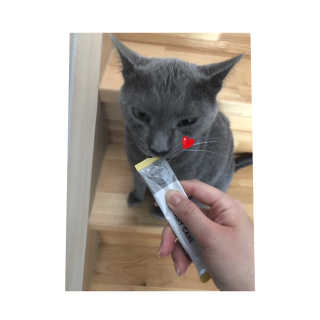 은쓸님이 올린 리뷰 사진 1