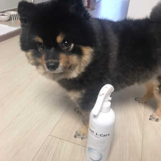 [펫토리아] 뚝딱케어 강아지 고양이 다목적세정제 — 5점을 준 리뷰어가 2020년 2월 올린 사용 사진