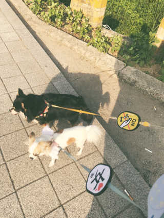 은쓸님이 올린 리뷰 사진 1