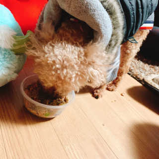 poco님이 올린 리뷰 사진 2