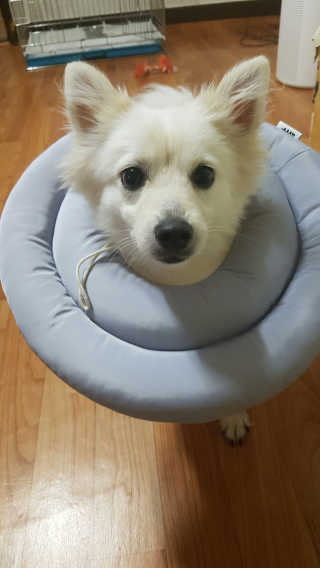 다영님이 올린 리뷰 사진 2