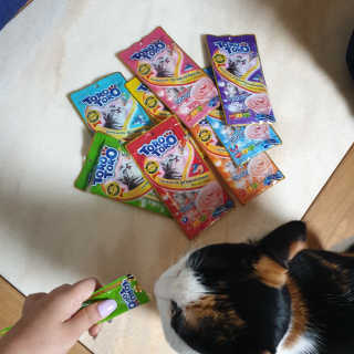 펫토리아 짜먹는 토로토로 고양이 파우치 간식 — 5점을 준 리뷰어가 2019년 6월 올린 사용 사진