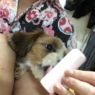 소하다지율님이 올린 리뷰 사진 3