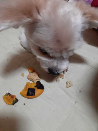 moomoon님이 올린 리뷰 사진 3