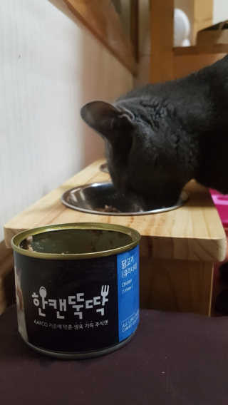 [펫토리아] BEST 한캔뚝딱 고양이 주식캔 — 5점을 준 리뷰어가 2019년 3월 올린 사용 사진