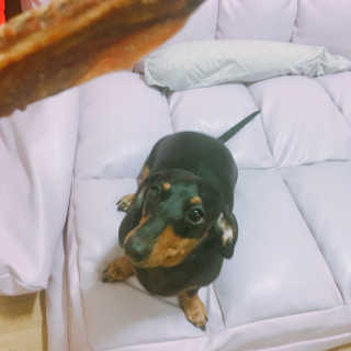 twotkdgml님이 올린 리뷰 사진 1