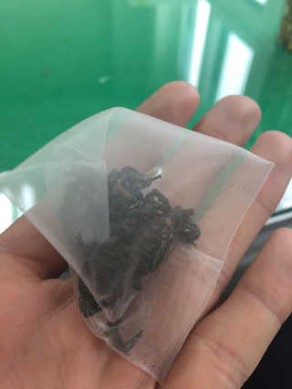 아토미님이 올린 리뷰 사진 2