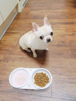 Bella님이 올린 리뷰 사진 2
